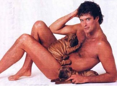 David Hasselhoff je (asi) supermu�