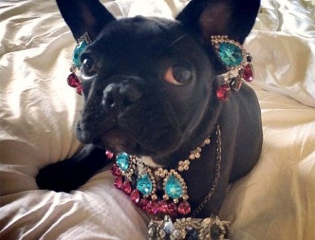 Havkáči celebrít (časť 2.)