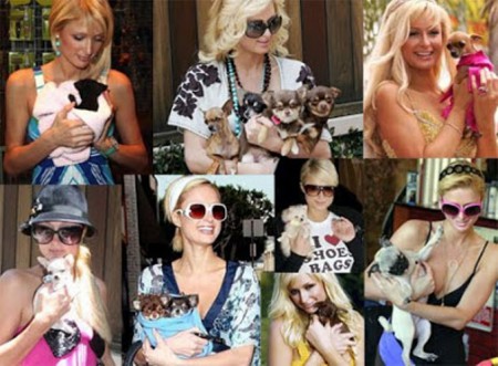 Paris Hilton zväčšila svorku