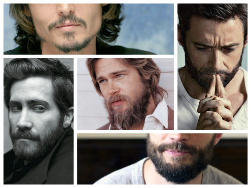 Epick brady celebrt Vol. 2  Nvrat brady