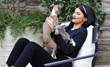 Kylie Jenner týra svojich psov