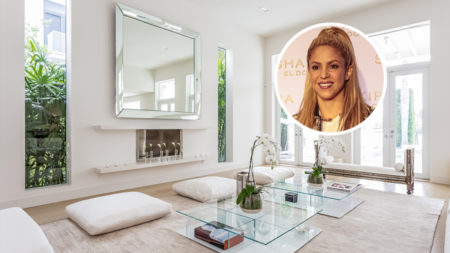 Shakira pred�va dom