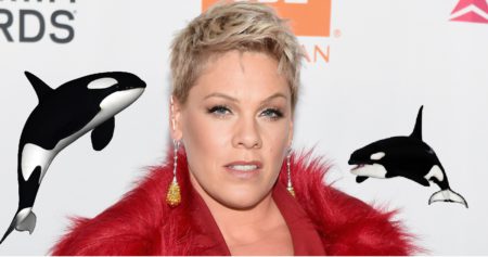 Pink zachra�uje kosatky